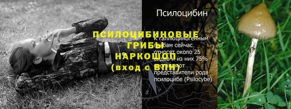 mix Армянск