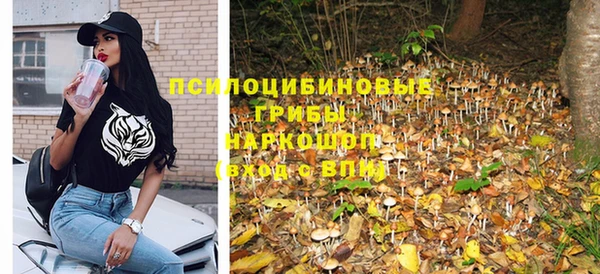 тгк Аркадак