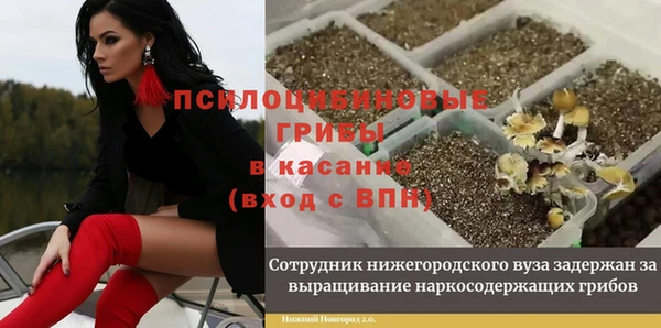 кристаллы Арсеньев
