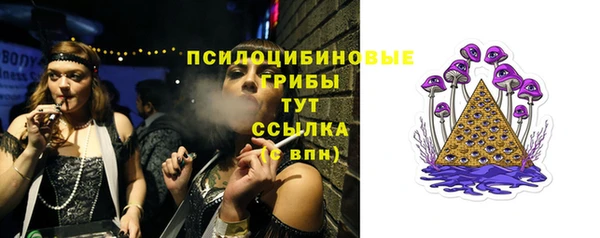 тгк Аркадак